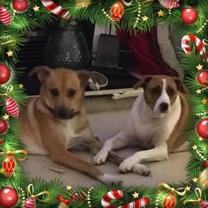 Meet your Posher, Jamie